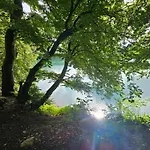 App 2 Superbesse 35m2 4 A 6 Personnes Proches Lacs Et Commerces Apartamento Besse-et-Saint-Anastaise