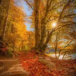 App 2 Superbesse 35m2 4 A 6 Personnes Proches Lacs Et Commerces Besse-et-Saint-Anastaise