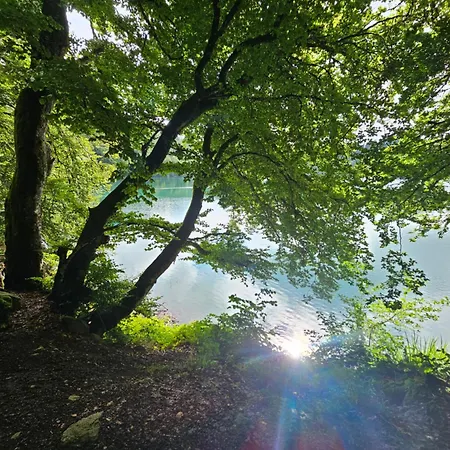 App 2 Superbesse 35m2 4 A 6 Personnes Proches Lacs Et Commerces Apartament Besse-et-Saint-Anastaise