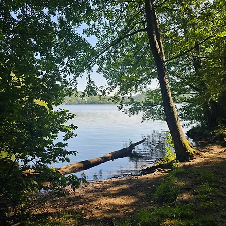 App 2 Superbesse 35m2 4 à 6 Personnes Proches Lacs Et Commerces Besse-et-Saint-Anastaise