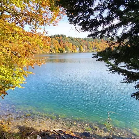 Apartment App 2 Superbesse 35m2 4 A 6 Personnes Proches Lacs Et Commerces Besse-et-Saint-Anastaise